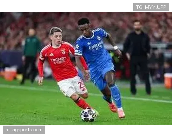 葡萄牙警方调查本菲卡球迷骚乱事件,数十人被拘留